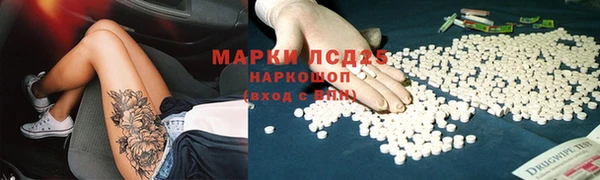 гидра Арсеньев