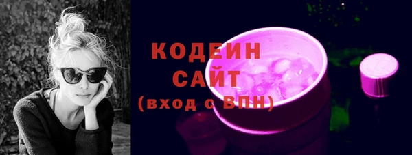 гидра Арсеньев