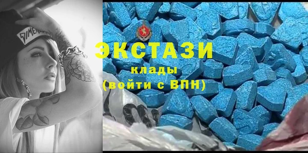 гидра Арсеньев