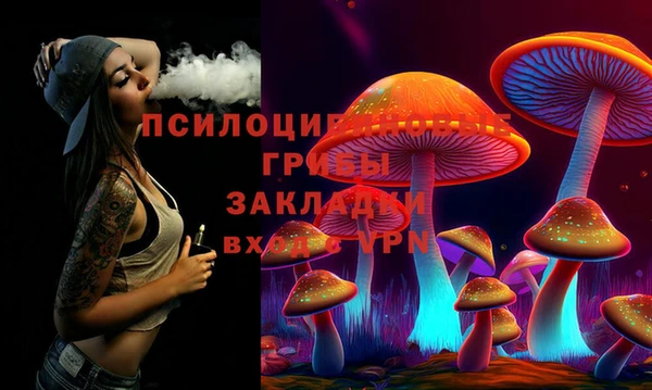 гидра Арсеньев