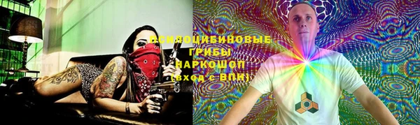 гидра Арсеньев